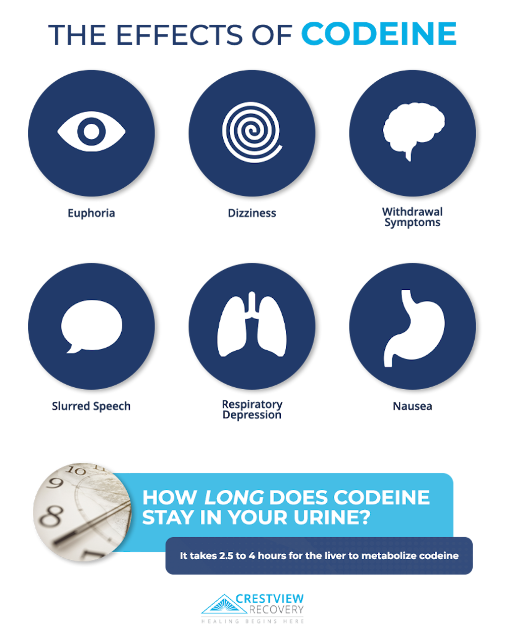 infographics about the effects of codeine